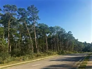 Inlet Beach, FL 32461,Lot 4 Pine Cone Trail