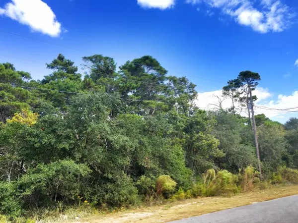 Santa Rosa Beach, FL 32459,Lot 15 Birch Street