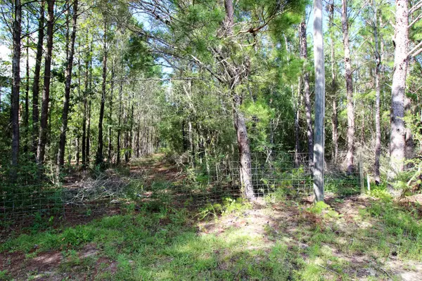 Crestview, FL 32539,9.7 AC RAINBOW