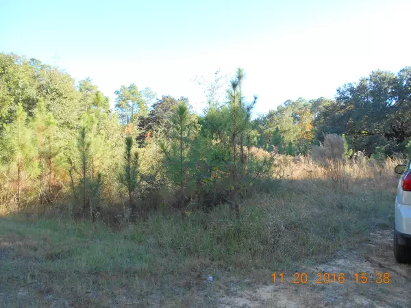 Milton, FL 32583,7125 LAVON Road