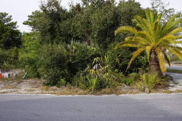 Santa Rosa Beach, FL 32459,Lot 12 Snapper Street