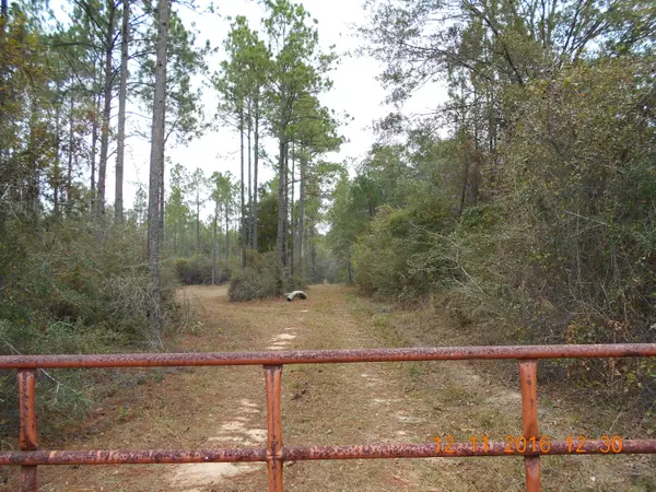 XX Hwy 2, Laurel Hill, FL 32567