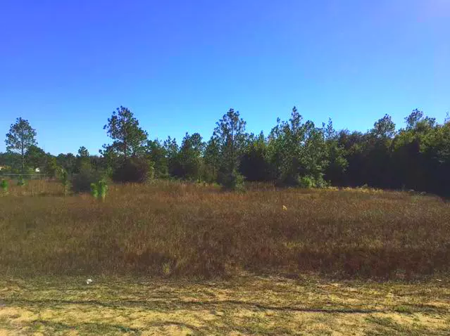 Milton, FL 32583,8 Acres Hickory Hammock Road