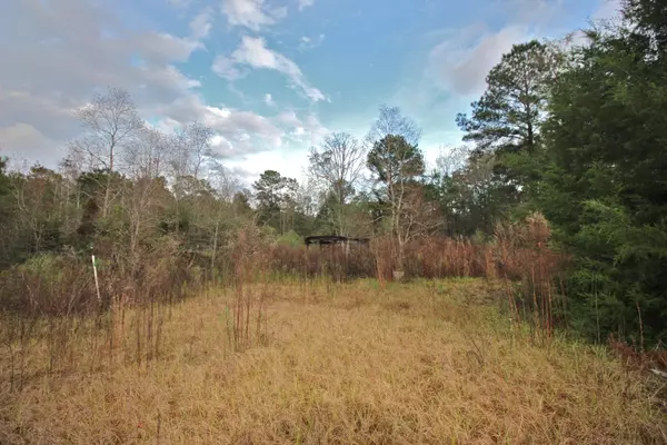 Defuniak Springs, FL 32435,18.4 AC Co Highway 280-A