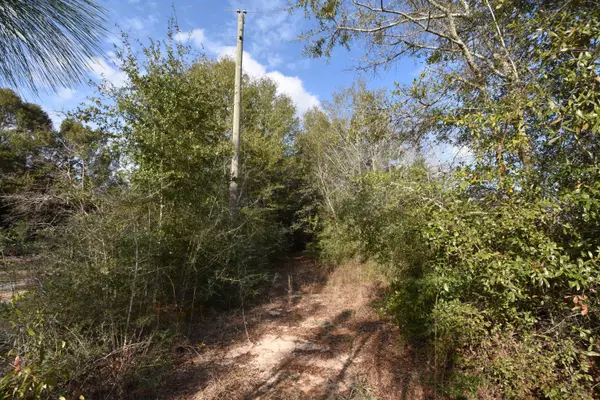 Baker, FL 32531,20 +/- ac Keyser Mill Road