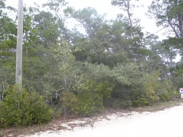 Inlet Beach, FL 32461,LOT 3 E Pinewood Ln