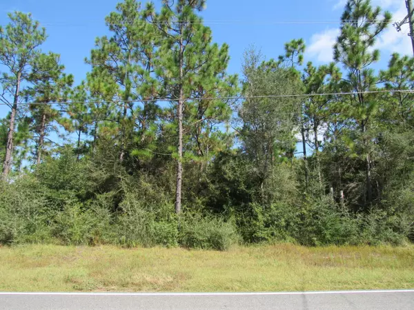 Defuniak Springs, FL 32433,1 +/- Acre Caswell Road