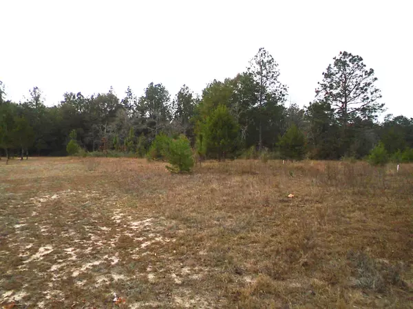 Crestview, FL 32539,1.3 ACRES Cottonwood Drive