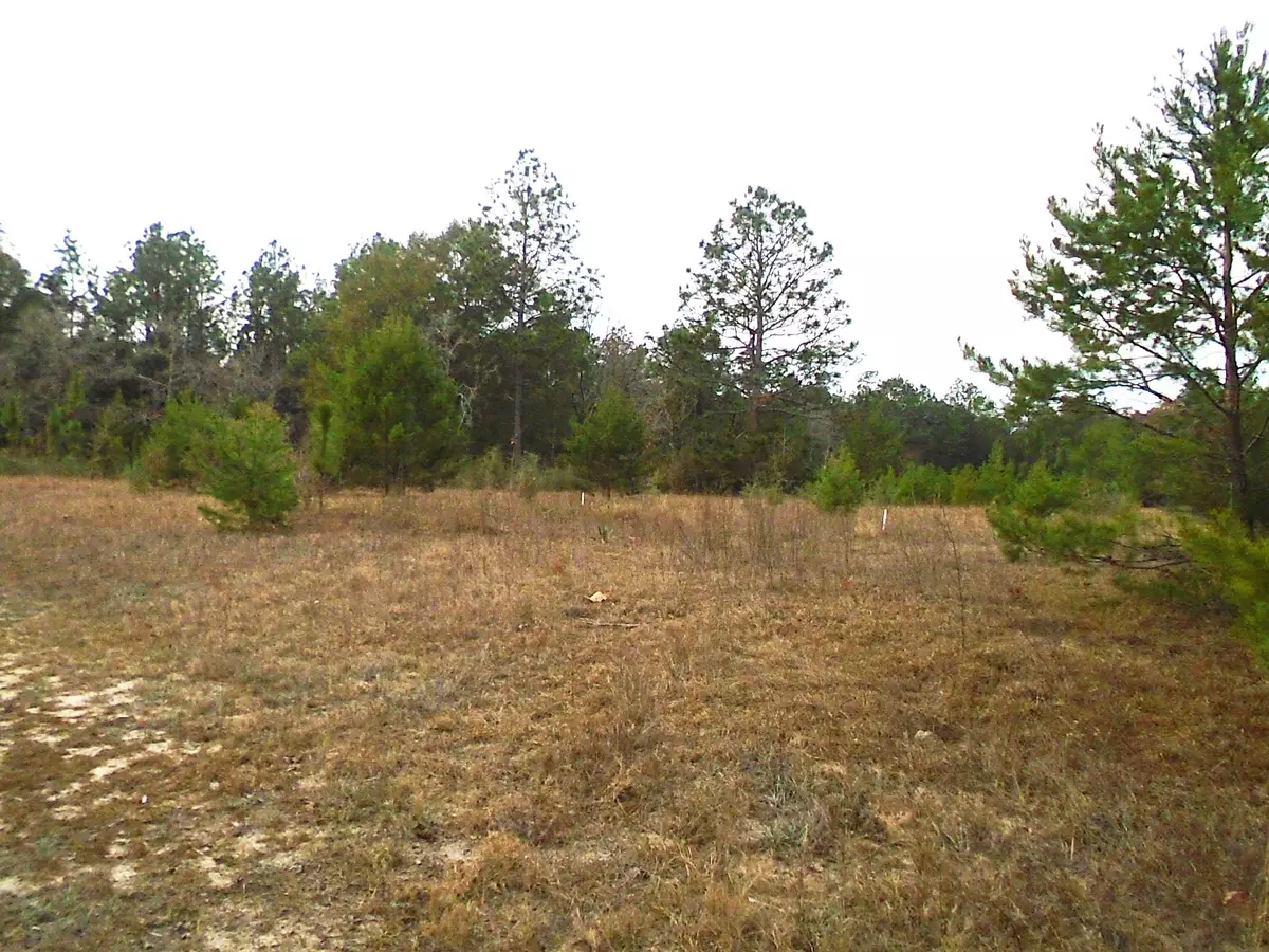 Crestview, FL 32539,1.3 ACRES Cottonwood Drive