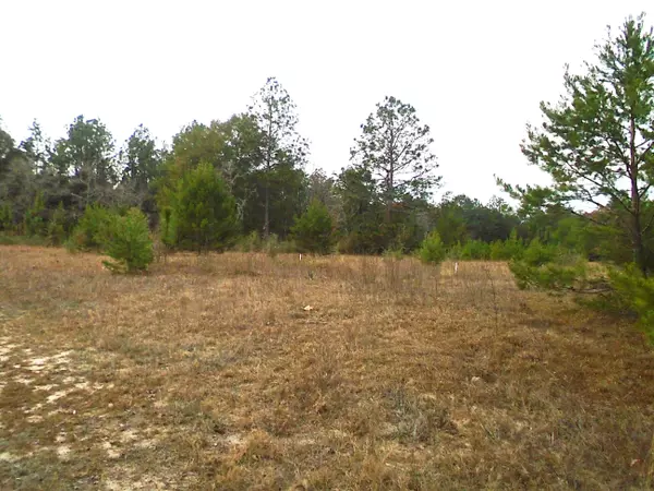 1.3 ACRES Cottonwood Drive, Crestview, FL 32539