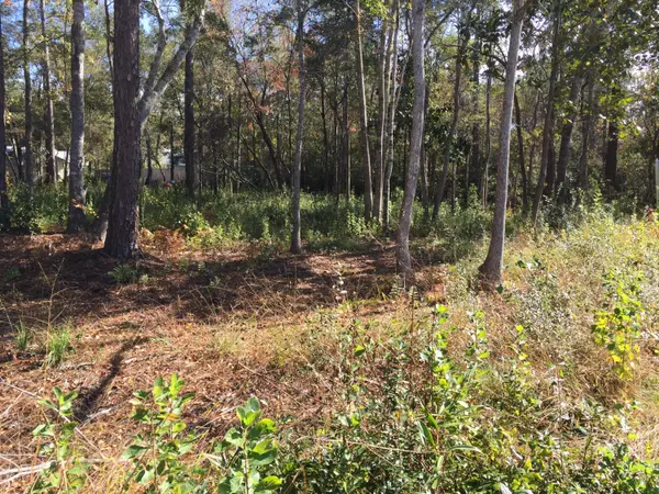 Freeport, FL 32439,Lot 154 Bayou Circle