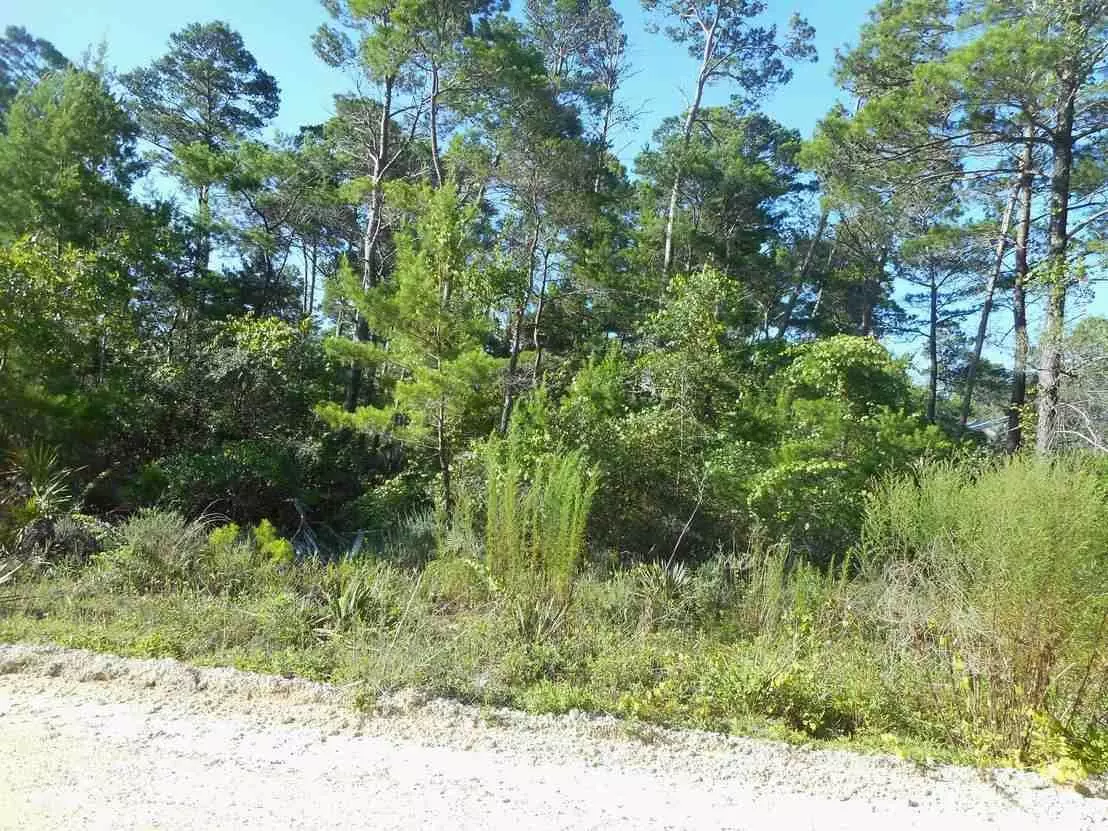 Santa Rosa Beach, FL 32459,Lot 4 Blue Gulf