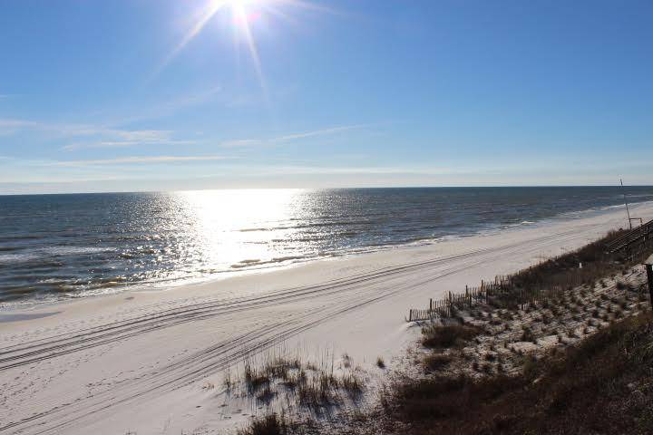 xx Walton Bonita Drive, Inlet Beach, FL 32461