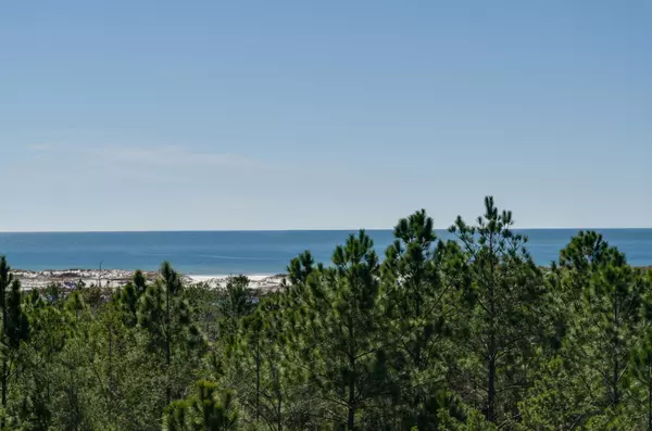 Santa Rosa Beach, FL 32459,90 Sandstone Street