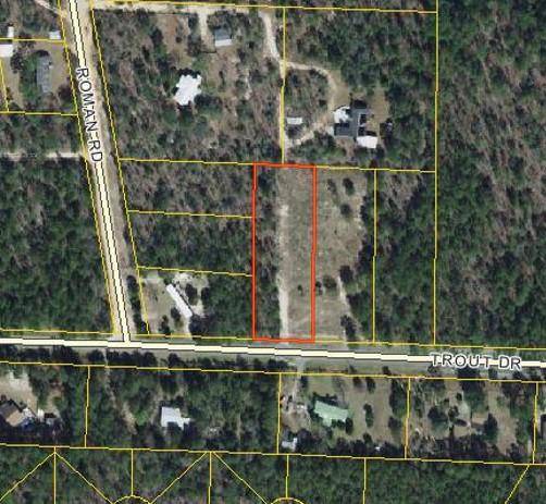 XXX Trout Drive, Defuniak Springs, FL 32433