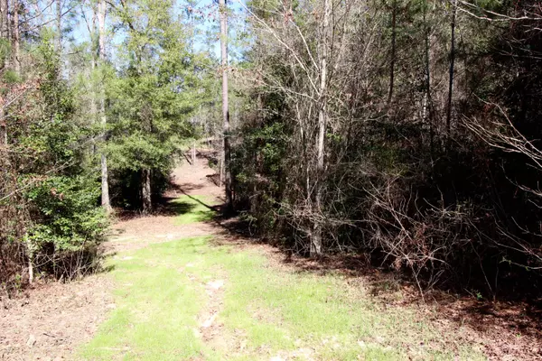 Westville, FL 32464,33.24 Ac Sandy Creek Road