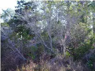 Lot 17 Dolphin Ct, Santa Rosa Beach, FL 32459