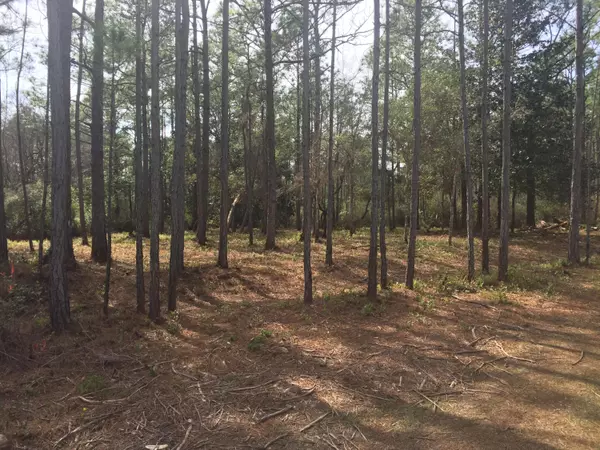 Santa Rosa Beach, FL 32459,Lot 2 Delano Street