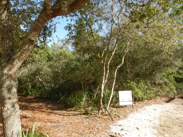 Lot 6 Wild Dunes Way, Inlet Beach, FL 32461