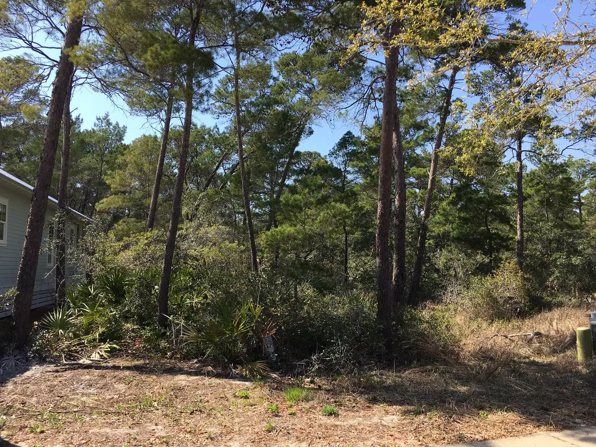 Santa Rosa Beach, FL 32459,Lot 17 Hikers Street