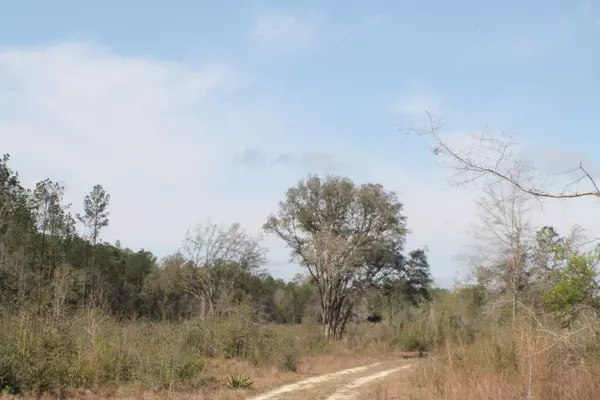 30 AC XXX Poverty Creek Road, Crestview, FL 32539