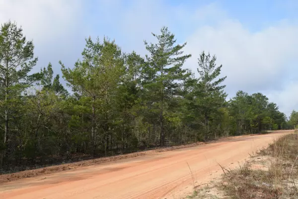 Defuniak Springs, FL 32433,Lot 6 Shaston Road