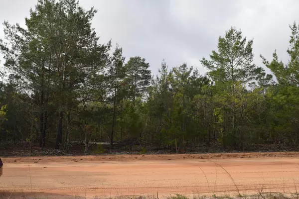 Defuniak Springs, FL 32433,Lot 6 Shaston Road