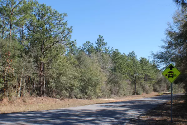 Baker, FL 32531,10 AC Old River Road