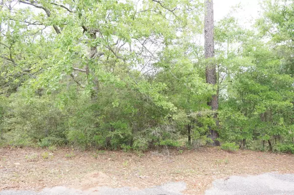 Crestview, FL 32536,Lot 7 Sam Carver Road