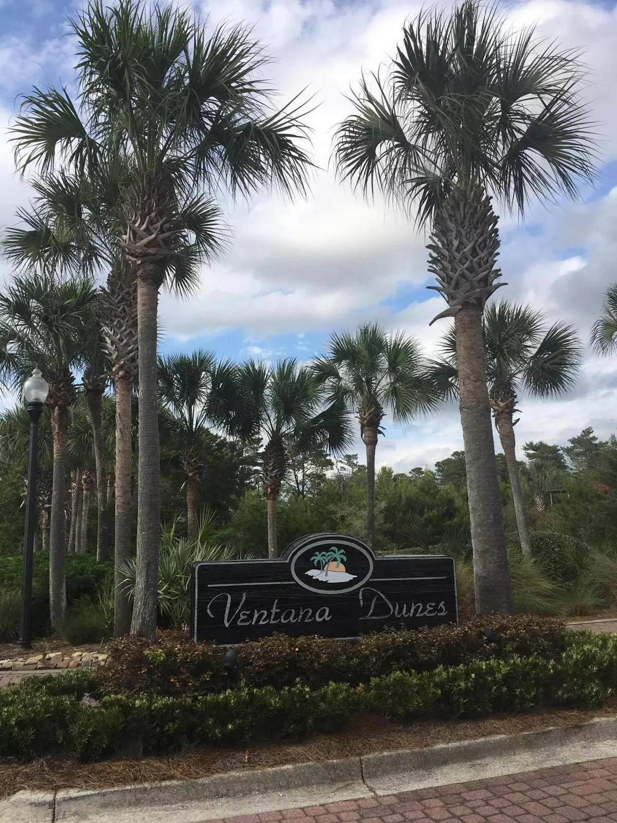 Santa Rosa Beach, FL 32459,Lot 31 B Ventana Blvd