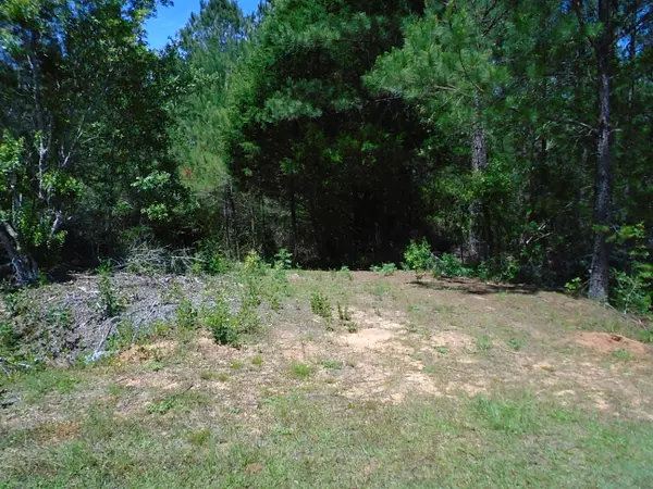 Laurel Hill, FL 32567,789 Windy Hill Road