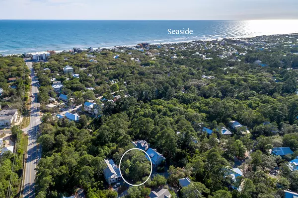 Santa Rosa Beach, FL 32459,Lot 24 Lot 24 Hammocks at Seagrove