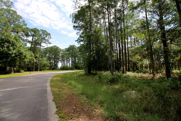 Santa Rosa Beach, FL 32459,LOT H18 Driftwood Point Road