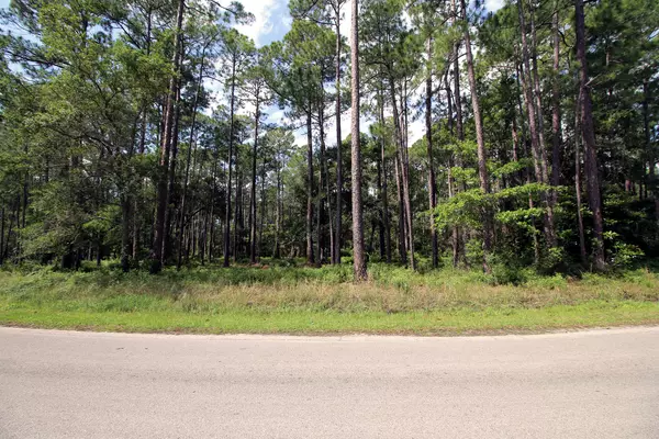 LOT H18 Driftwood Point Road, Santa Rosa Beach, FL 32459