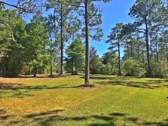 Defuniak Springs, FL 32433,Lot 33 CASWELL Road