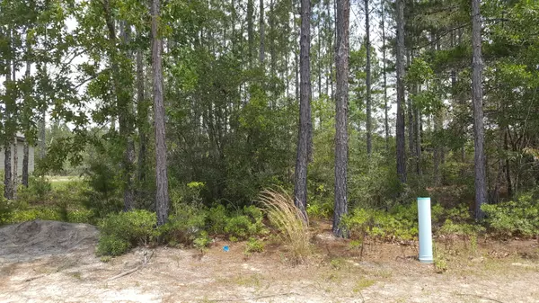 LOT 185 Symphony Way, Freeport, FL 32439