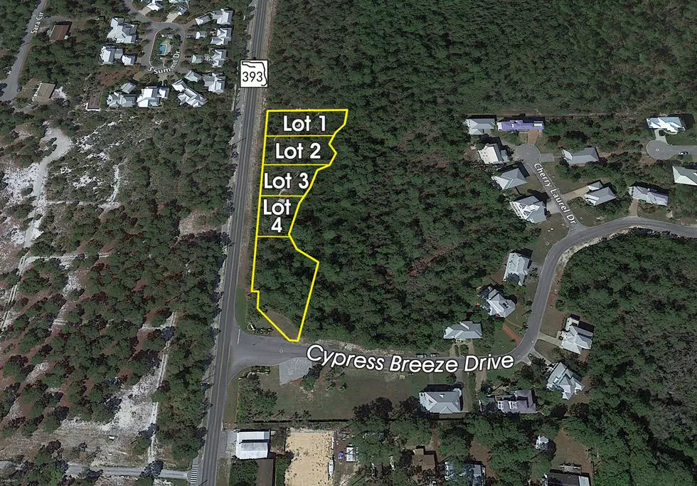 Santa Rosa Beach, FL 32459,Lot 1 S Co Hwy 393