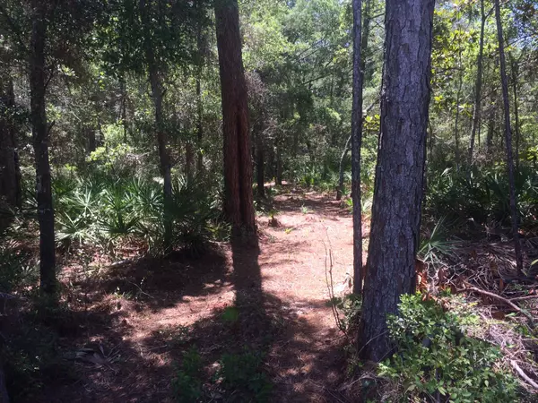 Santa Rosa Beach, FL 32459,Lot #7 Woodland Bayou Drive