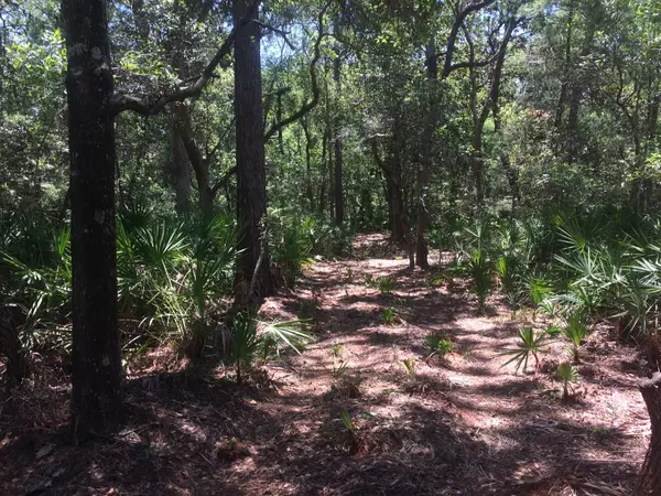 Santa Rosa Beach, FL 32459,Lot #7 Woodland Bayou Drive