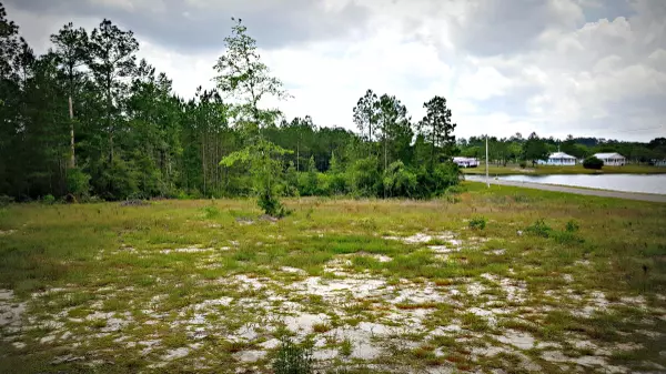 Defuniak Springs, FL 32433,Lot 22 Blueberry Bush Lane