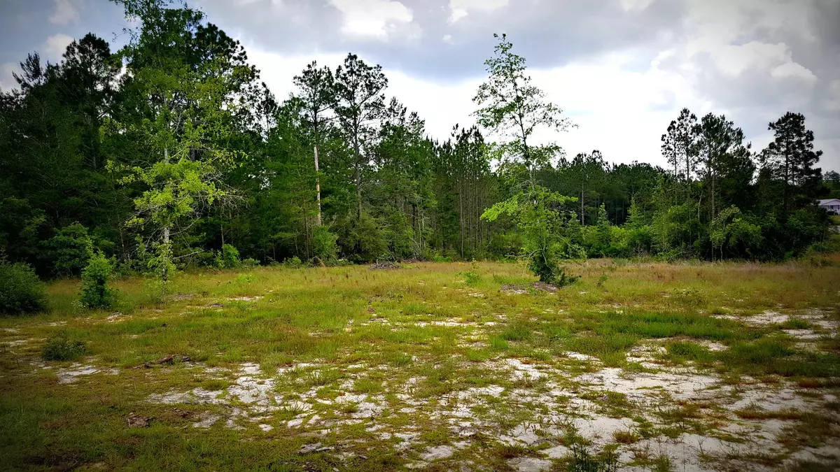 Defuniak Springs, FL 32433,Lot 22 Blueberry Bush Lane