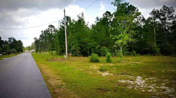 Defuniak Springs, FL 32433,Lot 22 Blueberry Bush Lane