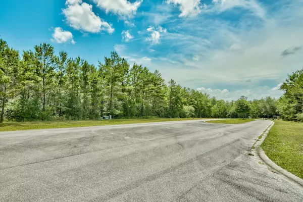 Freeport, FL 32439,26 Lots Hammock Oaks