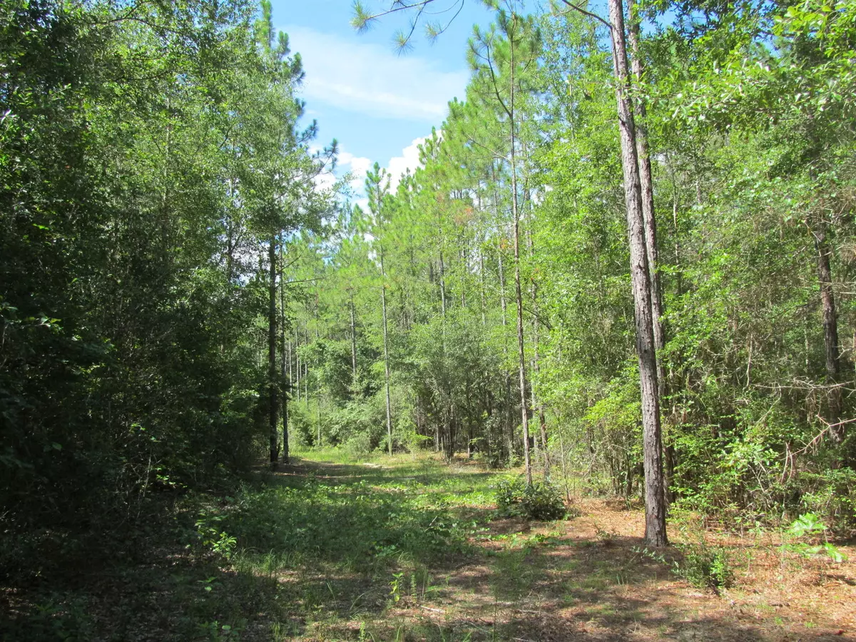 Laurel Hill, FL 32567,50AC Co Hwy 2