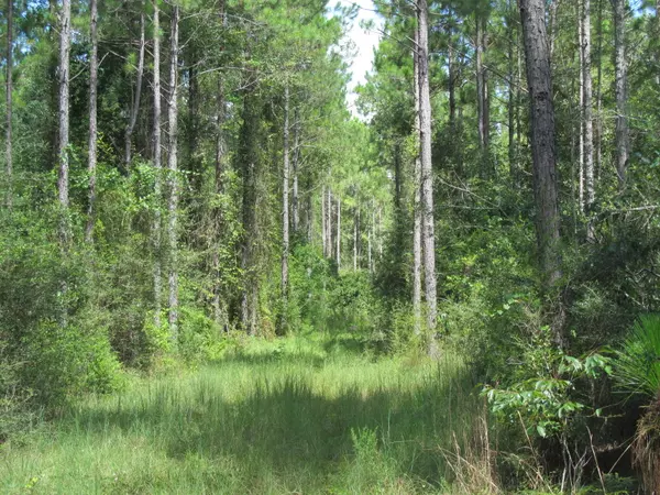 Laurel Hill, FL 32567,50AC Co Hwy 2