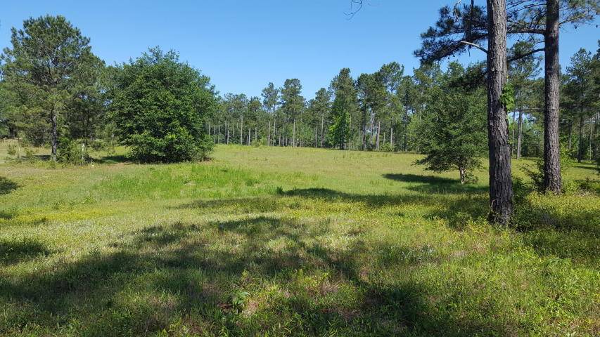 0000 County Hwy. 147, Paxton, FL 32538