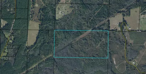 Ponce De Leon, FL 32455,80 Acres Old Mill Rd