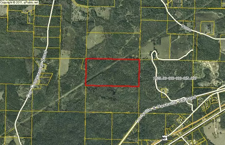 Ponce De Leon, FL 32455,80 Acres Old Mill Rd