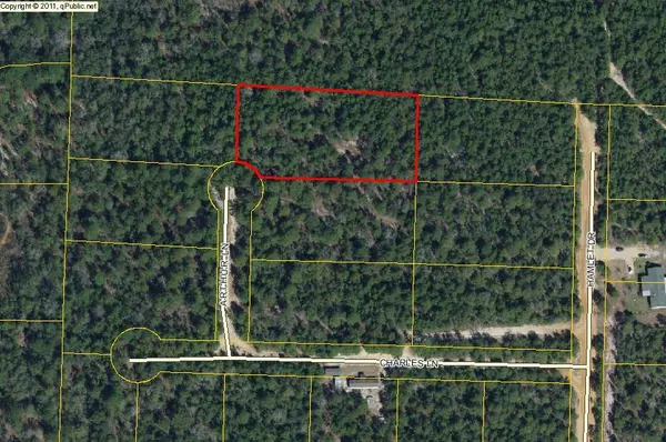 Mossy Head, FL 32434,Lot 4&5 Arthur Lane