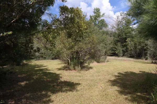 Ponce De Leon, FL 32455,40 Ac Cedar Lane